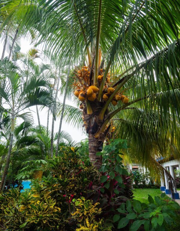 AirBnbHousePics-23_Original