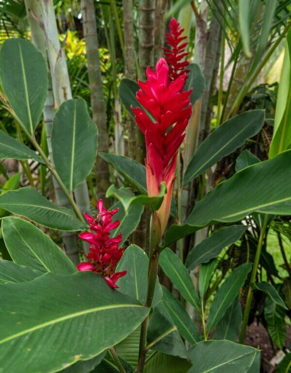 AirBnbHousePics-35_Original