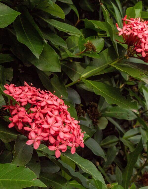 AirBnbHousePics-45_Original